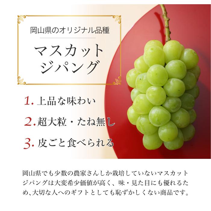 ぶどう マスカットジパング 赤秀 約700g×１房 岡山県産 JAおかやま ぶどう 葡萄 ブドウ ギフト お取り寄せ