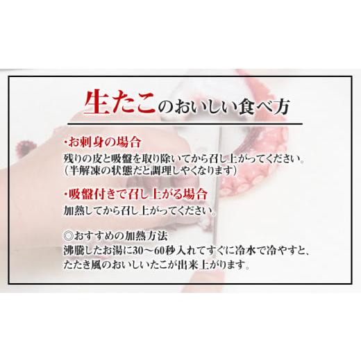 ふるさと納税 北海道 天塩町 ☆天塩町産たこ足1kg