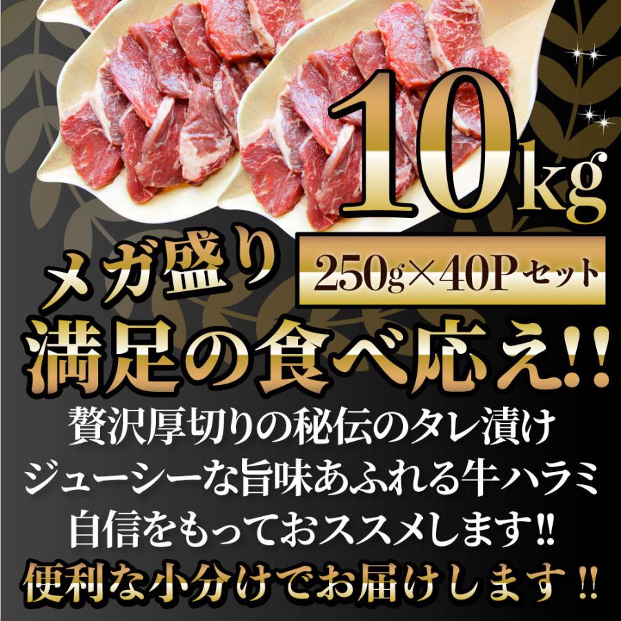 牛ハラミ焼肉（タレ漬け）10kg（250g×40） タレ 赤身 はらみ 秘伝 焼肉 やきにく ハラミ アウトドア お家焼肉 BBQ キャンプ キャンプ飯