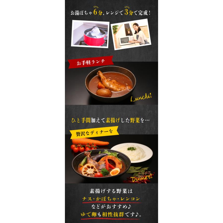 絶品チキンの札幌スープカレー 10食セット スープカレー レトルト 人気 スパイスカレー チキンレッグ 北海道 保存食 非常食 おとりよせグルメ