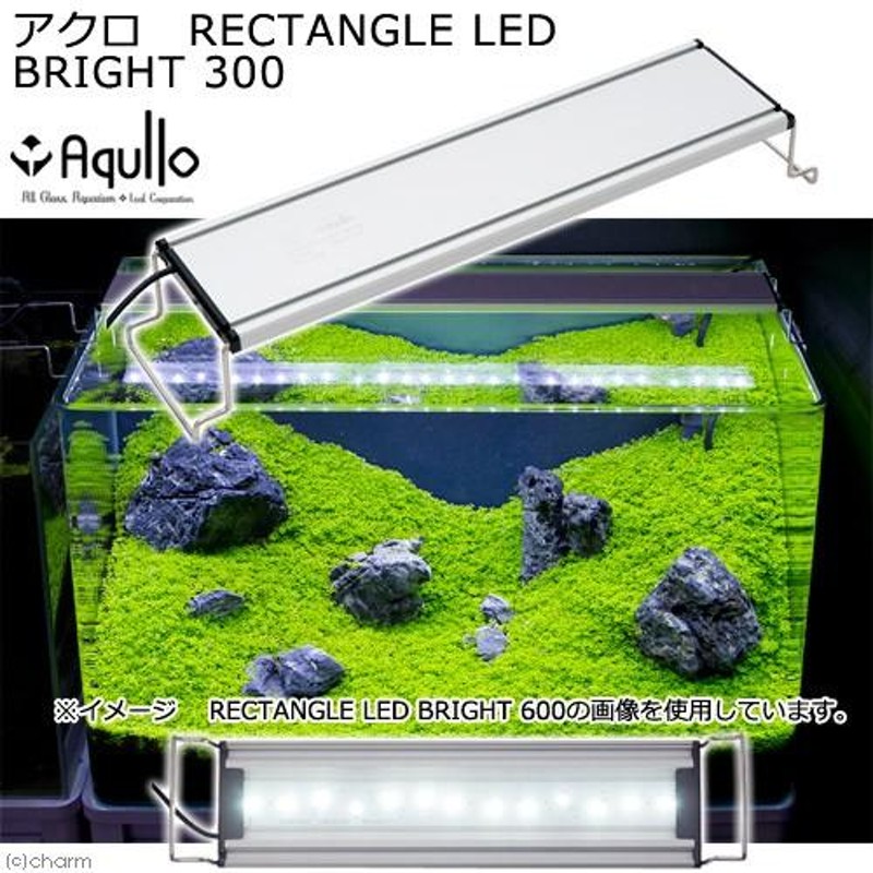 アクロ ＲＥＣＴＡＮＧＬＥ ＬＥＤ ＢＲＩＧＨＴ ３００ １６００ｌｍ