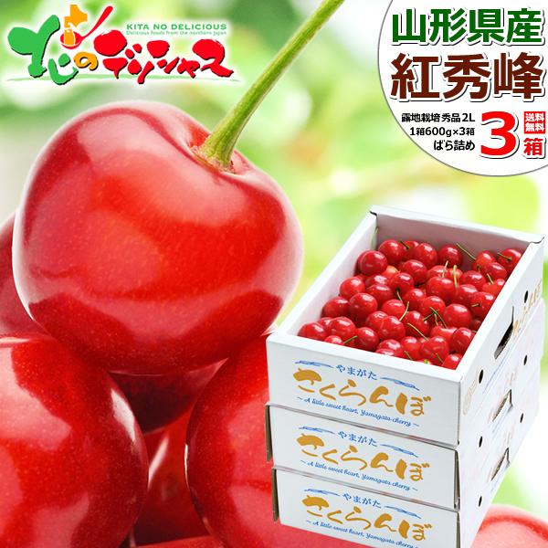 山形県産 さくらんぼ 紅秀峰 1.8kg (秀品 2Lサイズ ばら詰め 600g×3箱 化粧箱入り) お中元 ギフト 贈り物 プレゼント 送料無料 お取り寄せ