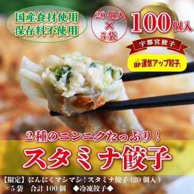 ふるさと納税 宇都宮市 宇都宮餃子　ニンニクマシマシスタミナ餃子100個　保存料不使用