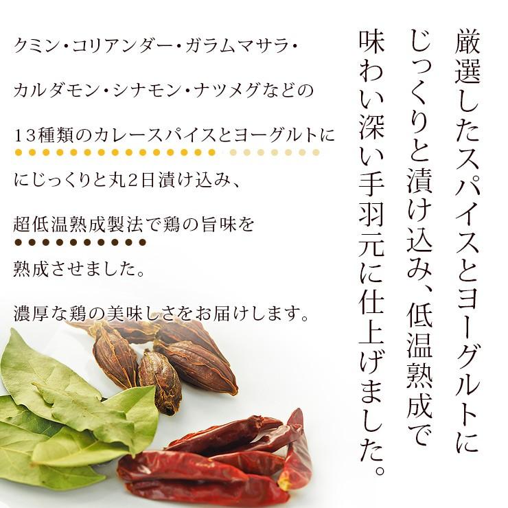 バーベキュー BBQ 国産 手羽元 カレー 5本 グリル 肉 生 チルド アウトドア パーティー