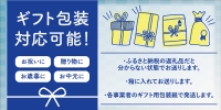 鰹節屋の至高のだし 詰合せ 3種（鰹だし・焼きあご・煮干し） 本格だし サザンフーズ 南さつま市