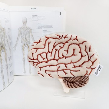 大腦零錢包 毛絨包 科學 畢業