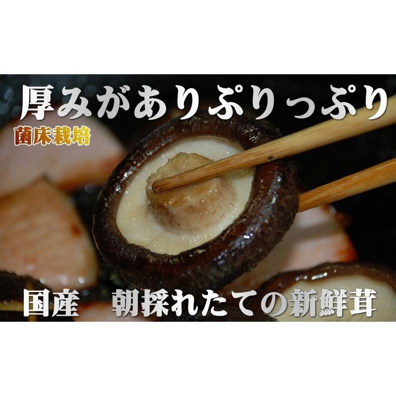 生しいたけ お得なB・C級品 3kg 送料無料 味は一級品 朝採れたて菌床栽培 椎茸 生椎茸 しいたけ 国産 生しいたけ 野菜 ギフト 業務用