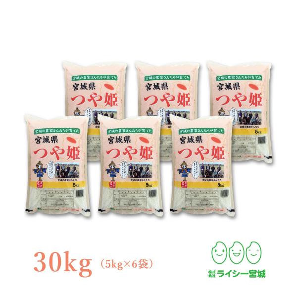 新米 つや姫 30kg 米 米30kg お米 白米 宮城県産 令和5年産 送料無料 5kg×6袋セット