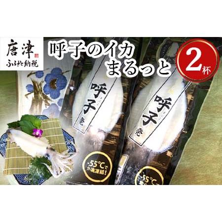 ふるさと納税 呼子のイカまるっと2杯 瞬間冷凍の旨さを呼子発でお届け 海鮮 スルメイカ 新鮮松いか 佐賀県唐津市