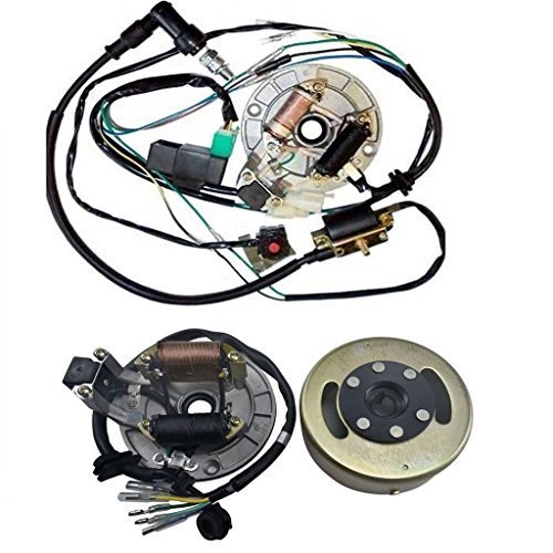 WPHMOTO ワイヤーハーネス CDI イグニッションコイル スパークプラグ キルスイッチ マグネットステーター プレート フライホイール