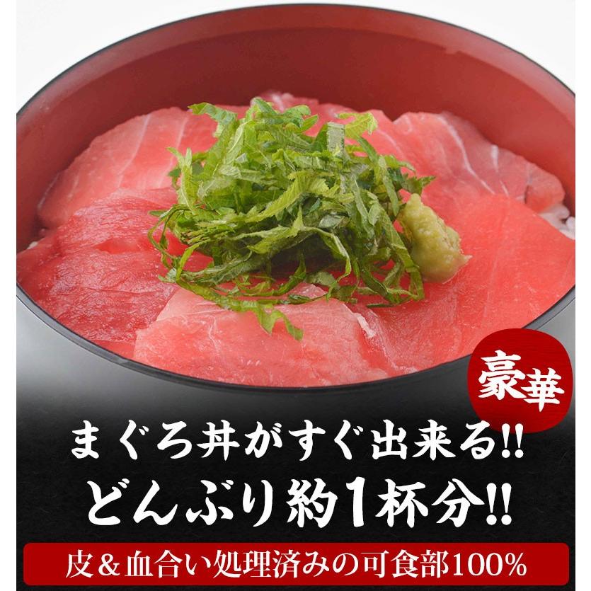 まぐろ マグロ刺身 天然きはだまぐろ 100g 赤身 カット済み 血合い処理済み可食部100％ 鮪 プレゼント お歳暮 2023 ギフト