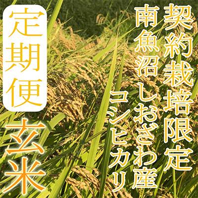 ふるさと納税 南魚沼市 生産者限定 南魚沼しおざわ産コシヒカリ全6回