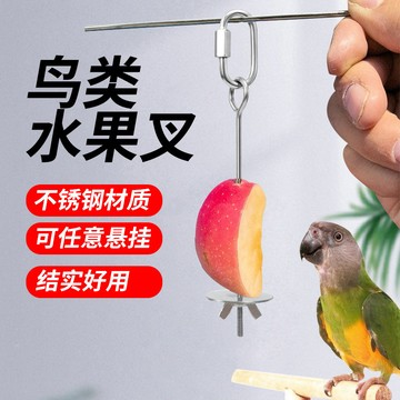 💥桃園出貨💥戶外窗臺不銹鋼水果叉餵鳥器鳥類餵食器式野外陽臺懸掛鳥兒投餵器