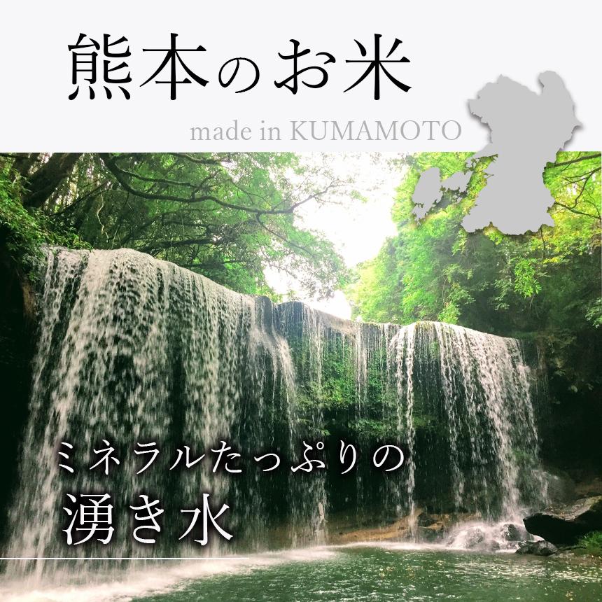 熊本県産 くまさんの輝き 3kg お米 精米 白米 300ｇ×5袋×2箱  3000g 国産