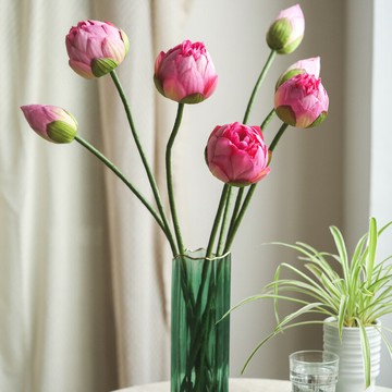 單枝荷花苞大朵荷花仿真花干花禪意新中式客廳假花長枝高枝假荷花