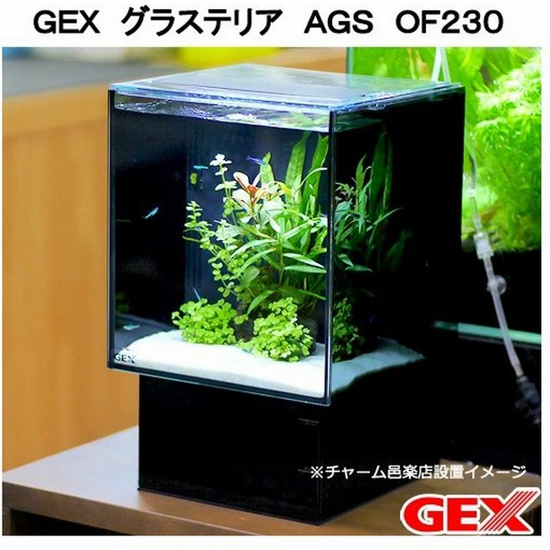 ｇｅｘ 水槽セット グラステリア ａｇｓ ｏｆ２３０ お一人様５点限り 沖縄別途送料 通販 Lineポイント最大0 5 Get Lineショッピング
