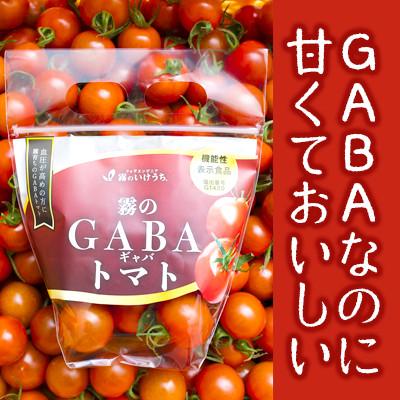 ふるさと納税 西脇市 霧のGABAトマト(機能性表示食品) 300g×12パック