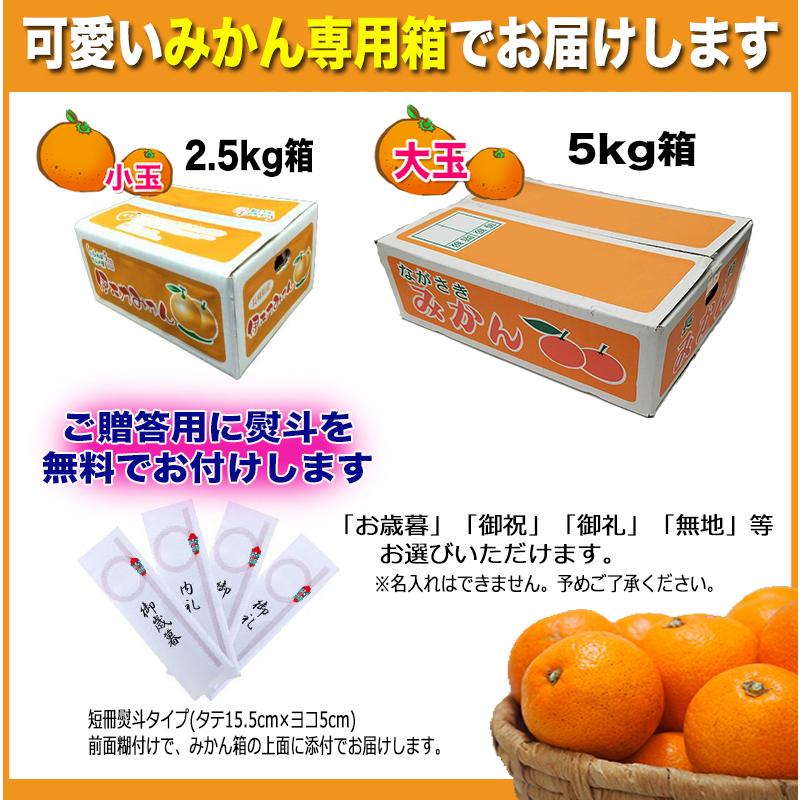 みかん ギフト 伊木力 長崎 早生 温州ミカン 秀品 大玉 2L ５kg（5kg×1箱） 送料無料 産直 甘い蜜柑 贈答用 グルメ Y常