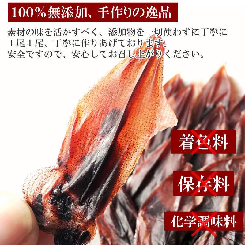 海産物 ホタルイカ姿干 15ｇ １０袋 送料無料