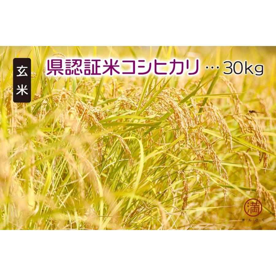 魚沼産100%！県認証米コシヒカリ「玄米」30kg（津南町上郷地域限定米！）