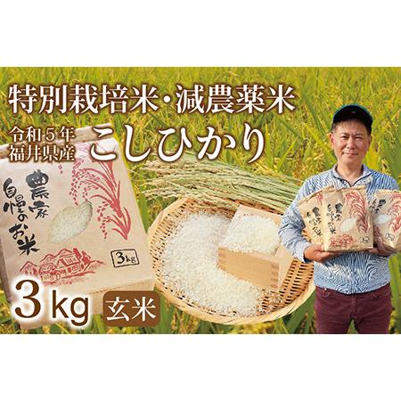 ふるさと納税 〈新米〉減農薬米 こしひかり 3kg ／令和5年福井県産 （玄米） 福井県越前市