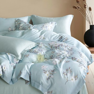 Prawear 巴麗維亞 60支100%萊賽爾天絲兩用被  西湖曲藍  雙人5尺  床包組