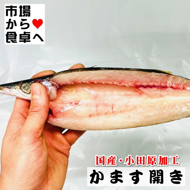 かます干物 10枚(1枚約110g)こだわりの手開き、地元でも愛され長く干物づくりを行っています