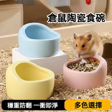 【萌寵家園】精品優選 倉鼠陶瓷碗 小寵食盆 小寵陶瓷碗 小寵飼料碗 倉鼠飼料碗 陶瓷碗 倉鼠餵食器 倉鼠食盆 小寵用品