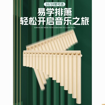 💥下殺價💥 排簫 18管排簫 初學演奏18/16管樹脂排笛C調吹奏18管學生排簫