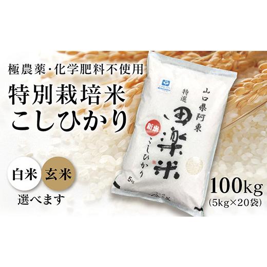 ふるさと納税 山口県 山口市 A-008 「田楽米」コシヒカリ100kg≪エコやまぐち50認証取得≫