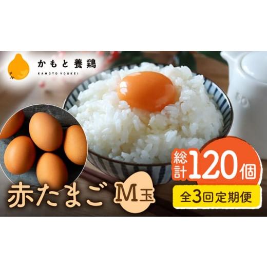 ふるさと納税 熊本県 山鹿市  赤たまご M玉 40個 (37個＋割れ保証3個) [ZCA003] 贈答  鶏卵 玉子