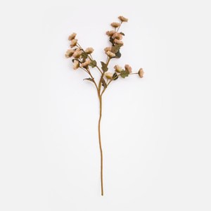 Flora芙蘿拉花插雲南菊 綠粉