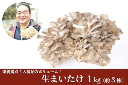 うまみ＆栄養が自慢♪の生まいたけ１ｋｇ（約３株）