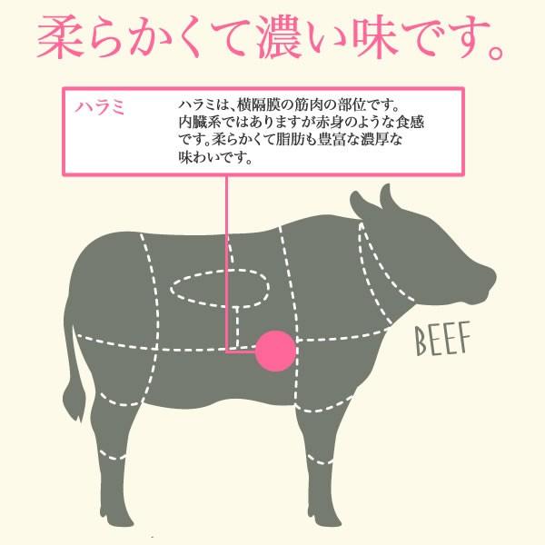 味付け 焼肉用 国産牛 ハラミ（醤油あじ） ＜500g＞ 牛肉 ビーフ 焼肉 バーベキュー BBQ