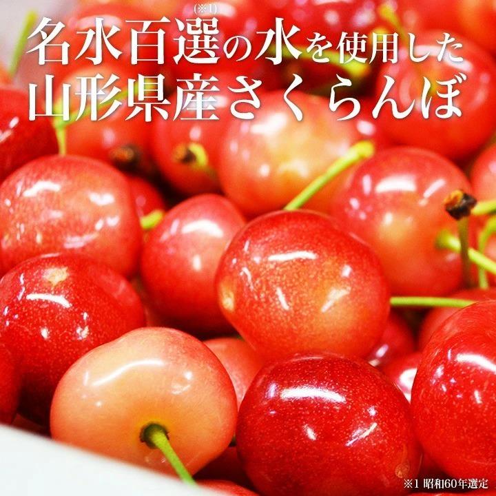 さくらんぼ 山形県産 紅秀峰 秀品 2L 500g 化粧箱入り 送料無料 (遠方送料加算) 食品 お中元 ギフト プレゼント