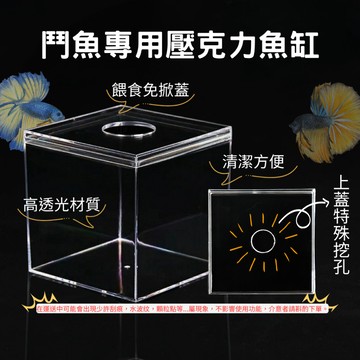 【彼得貓水族】鬥魚專用壓克力魚缸 高透光壓克力缸 12x12 15x15 魚缸 水族魚缸 小魚缸 鬥魚缸