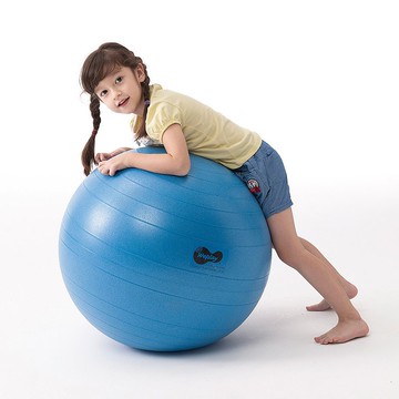 Weplay 防爆球 (65cm)