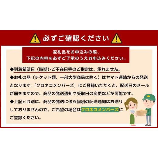 ふるさと納税 和歌山県 橋本市 名産　おかもとのあんぽ柿 　12個入り