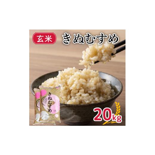 ふるさと納税 山口県 下関市 新米 令和5年産 きぬむすめ 20kg 玄米 やまだ農園 豊田 下関