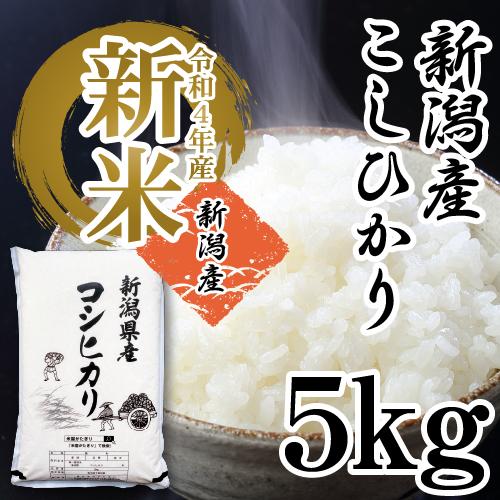 新米 令和5年産 お米 食べ比べ 各5Kg×1 10Kg 送料無料 新潟米 コシヒカリ こしいぶき 米 あすつく 美味しいお米 産直 白米