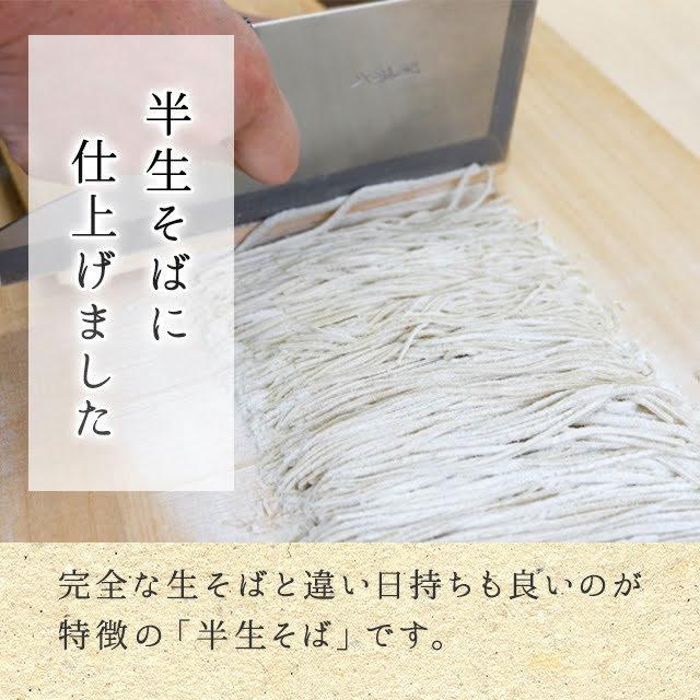 そば 半生そば （8人前） そばつゆ付 長野県 飯綱町産 地粉100% 信州蕎麦 麺類 信州そば ギフト ソバ 麺類 半生蕎麦 長野県産