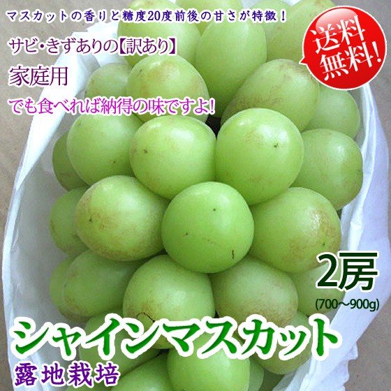 シャインマスカット 2房 サビ・キズあり訳あり 家庭用 皮ごと食べれる種無しぶどう 送料無料