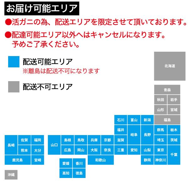 ズワイガニ 生 姿 訳あり 600~700g 活き 松葉ガニ 境港 ズワイガニ お取り寄せ グルメ 国産 カニ 蟹 かに 漁港直送 冷蔵便