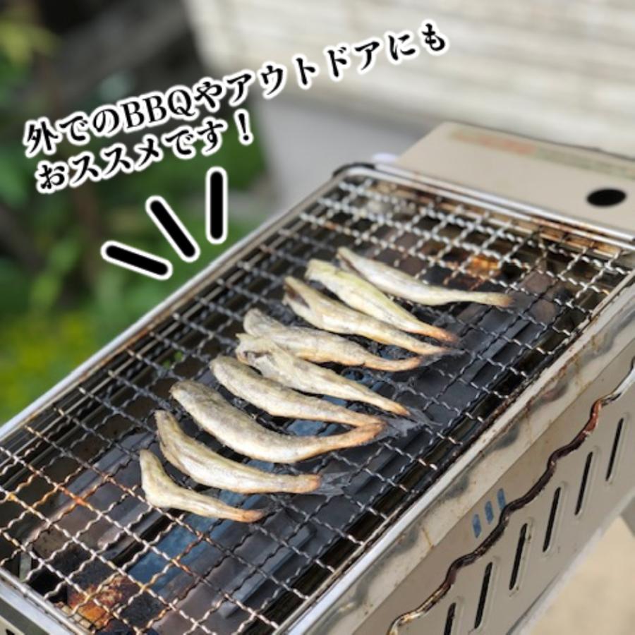 コマイ一夜干し 500g　国産　北海道産　産地直送　氷下魚　寒海　こまい干し　料理　お土産　手土産　酒の肴　お中元　お歳暮　ギフト　プレゼント