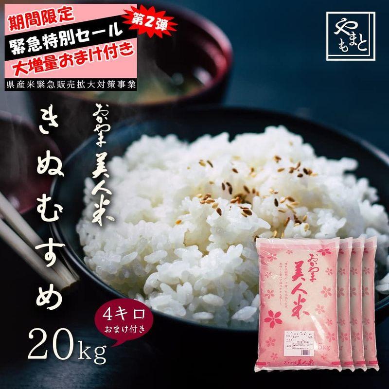 米 令和4年 新米 岡山県産一等米きぬむすめ20kg