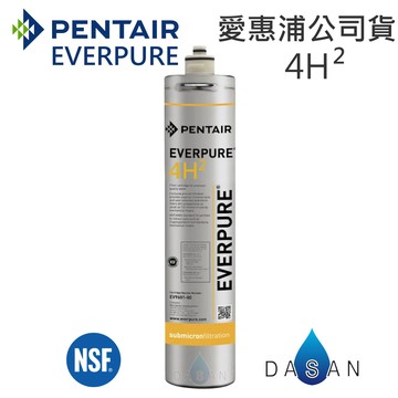 大山淨水 [贈7-11禮卷$300] 4H2 愛惠浦 濾心 公司貨 EVERPURE 台灣愛惠浦 4H2 濾芯