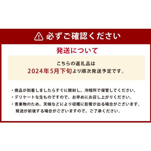 ふるさと納税 熊本県 熊本市  熊本県産 アールスメロン 2玉セット フルーツ 果物 くだもの メロン