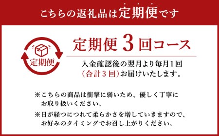 モッツァレラチーズ 「ミル爆」計1.5kg（100g×5個）×3ヶ月