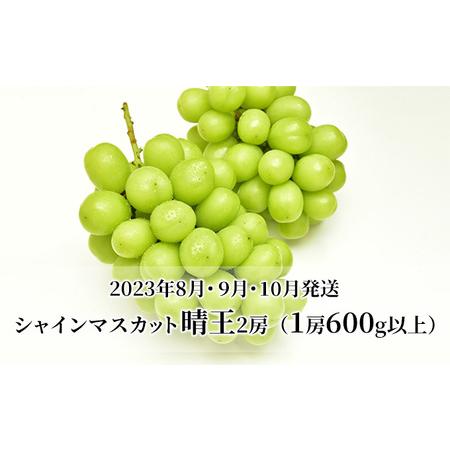 ふるさと納税 ぶどう 定期便 2024年 先行予約 シャイン マスカット 晴王 各月2房（1房600g以上） 3回コース マスカット ブドウ 葡萄  岡山県産 .. 岡山県岡山市