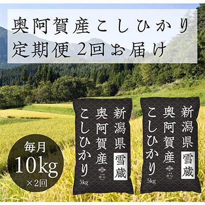 ふるさと納税 阿賀町 上旬こしひかり10kg 全2回